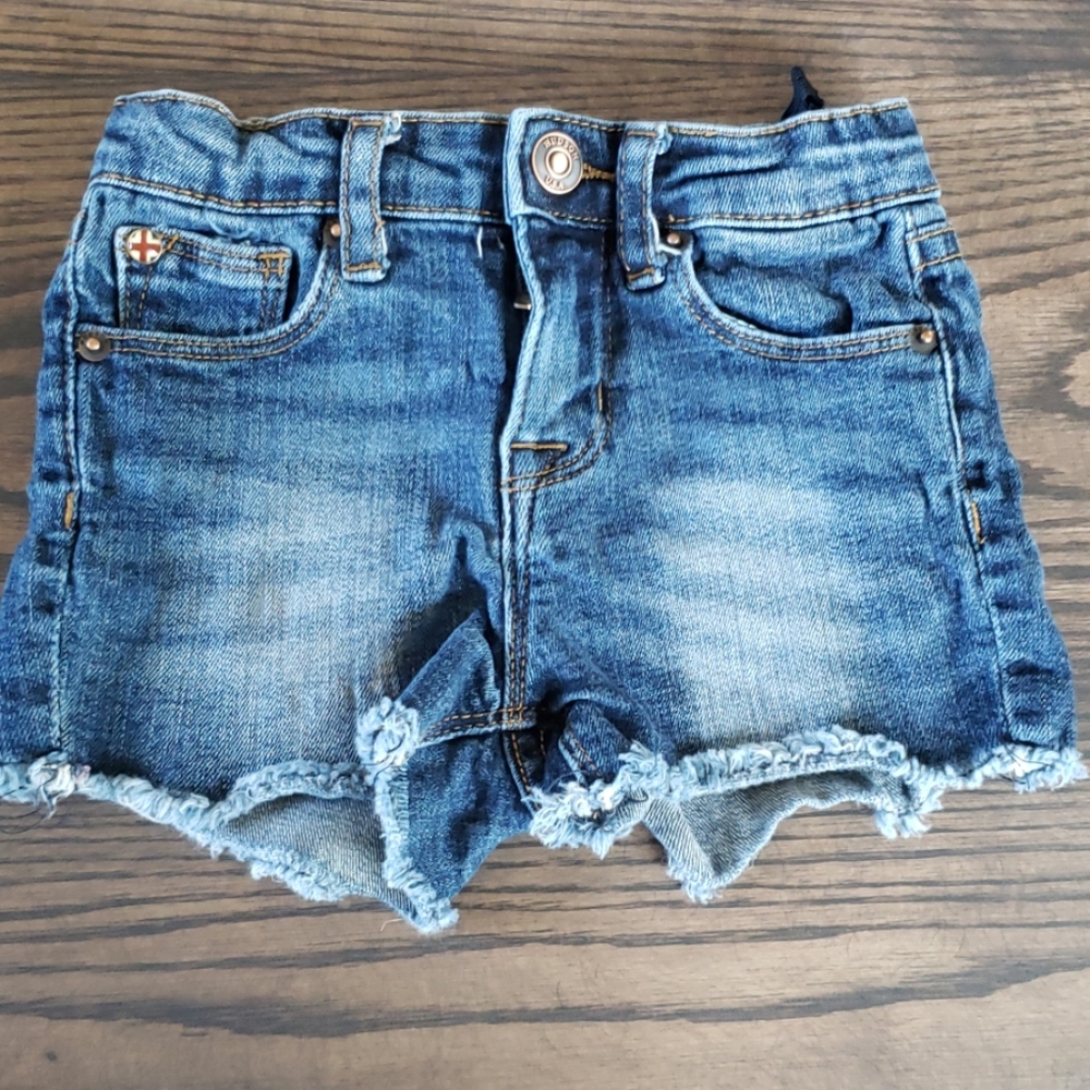 Hudson Jean Shorts